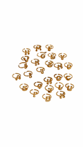 Bobbie Ring