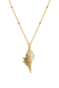 Sunken Treasure Shell Necklace