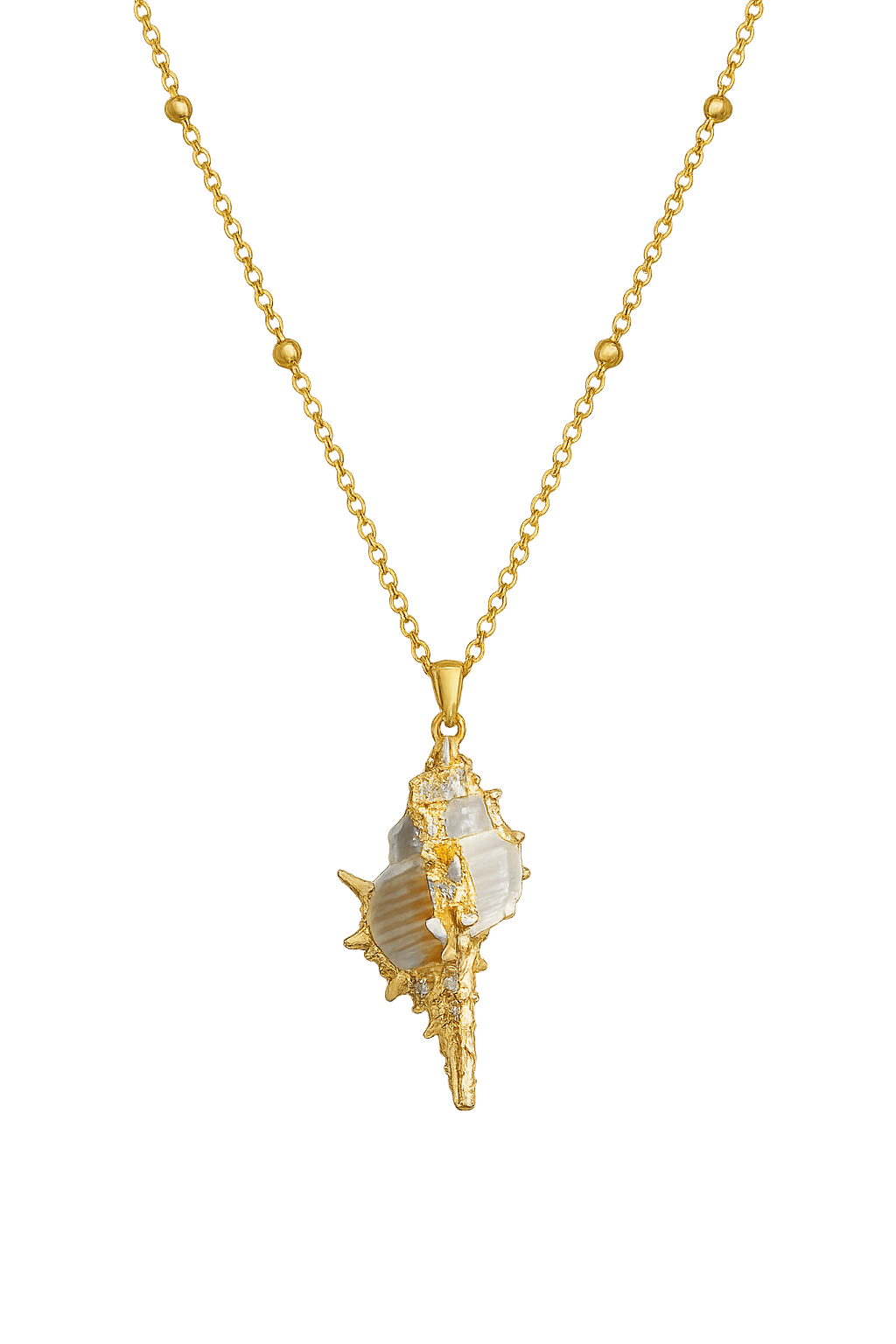 Sunken Treasure Shell Necklace